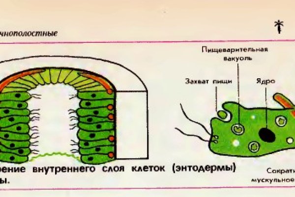 Https bs gl pass ссылка