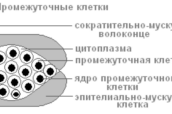 Black sprut телеграмм