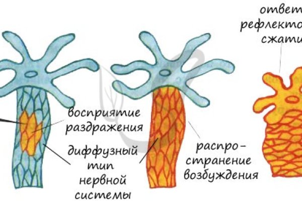 Черный рынок зайти