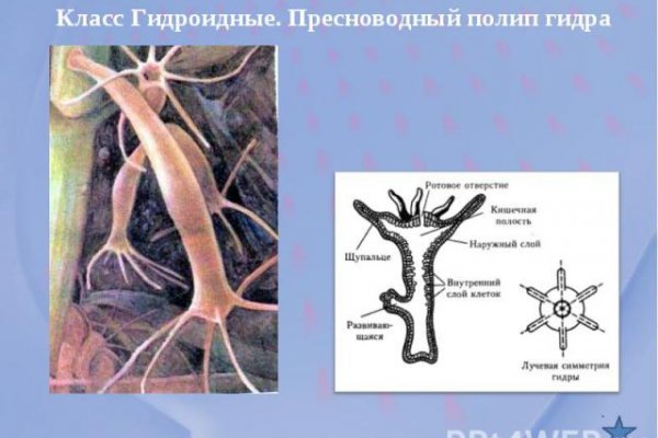 Bs clinic екатеринбург официальный сайт